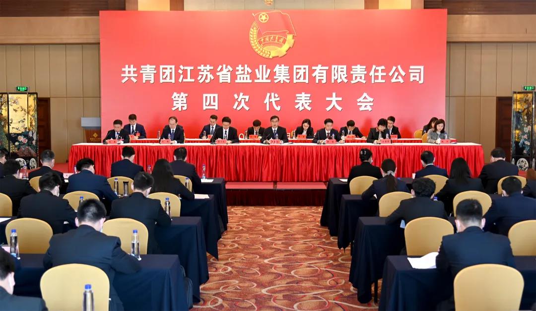 共青團(tuán)江蘇省鹽業(yè)集團(tuán)有限責(zé)任公司第四次代表大會(huì)在寧隆重召開(kāi)