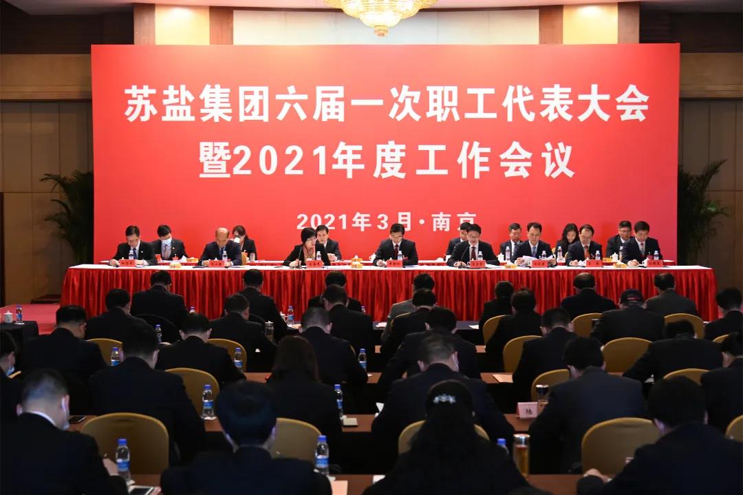 開局，2021蘇鹽交出高質(zhì)量倍增發(fā)展優(yōu)異答卷
